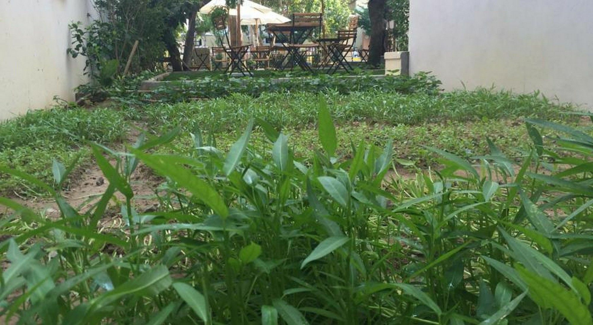 Heritage Homestay ホイアン エクステリア 写真